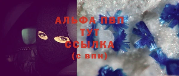 амф Каменка