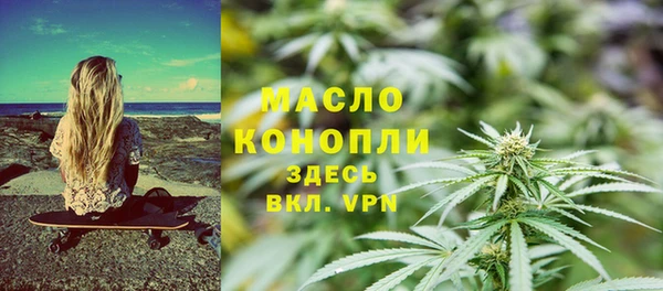 амф Каменка