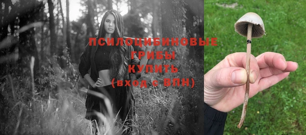 амф Каменка