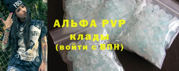 амф Каменка